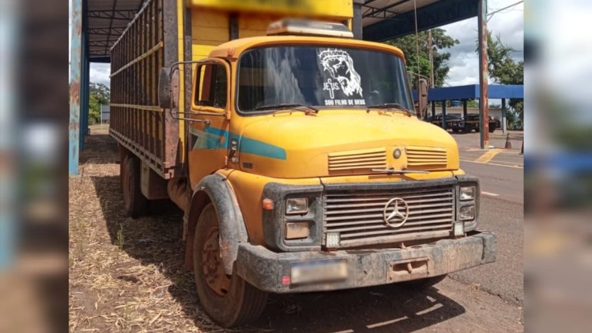 PRF apreende caminhão com 14 cavalos transportados sem documentação em Palmeiras do Tocantins