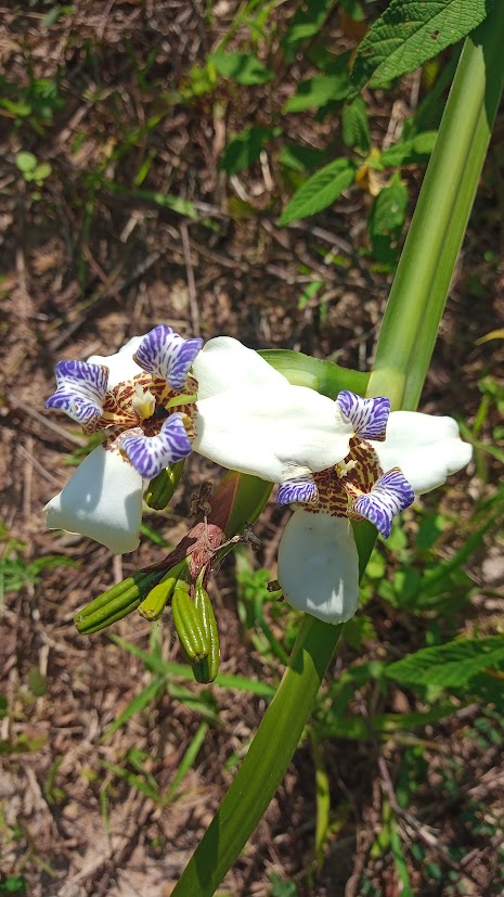 Saquarema entra no top 10 de sustentabilidade
