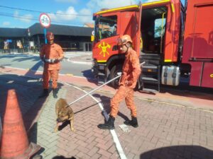 Cão agressivo mobiliza Bombeiros e forças de segurança após ataques a outros animais na Orla de Parque Nanci