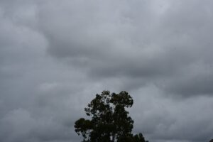Transporte de umidade mantém tempo instável e provoca chuva em Maricá nesta quinta Foto: Elsson Campos