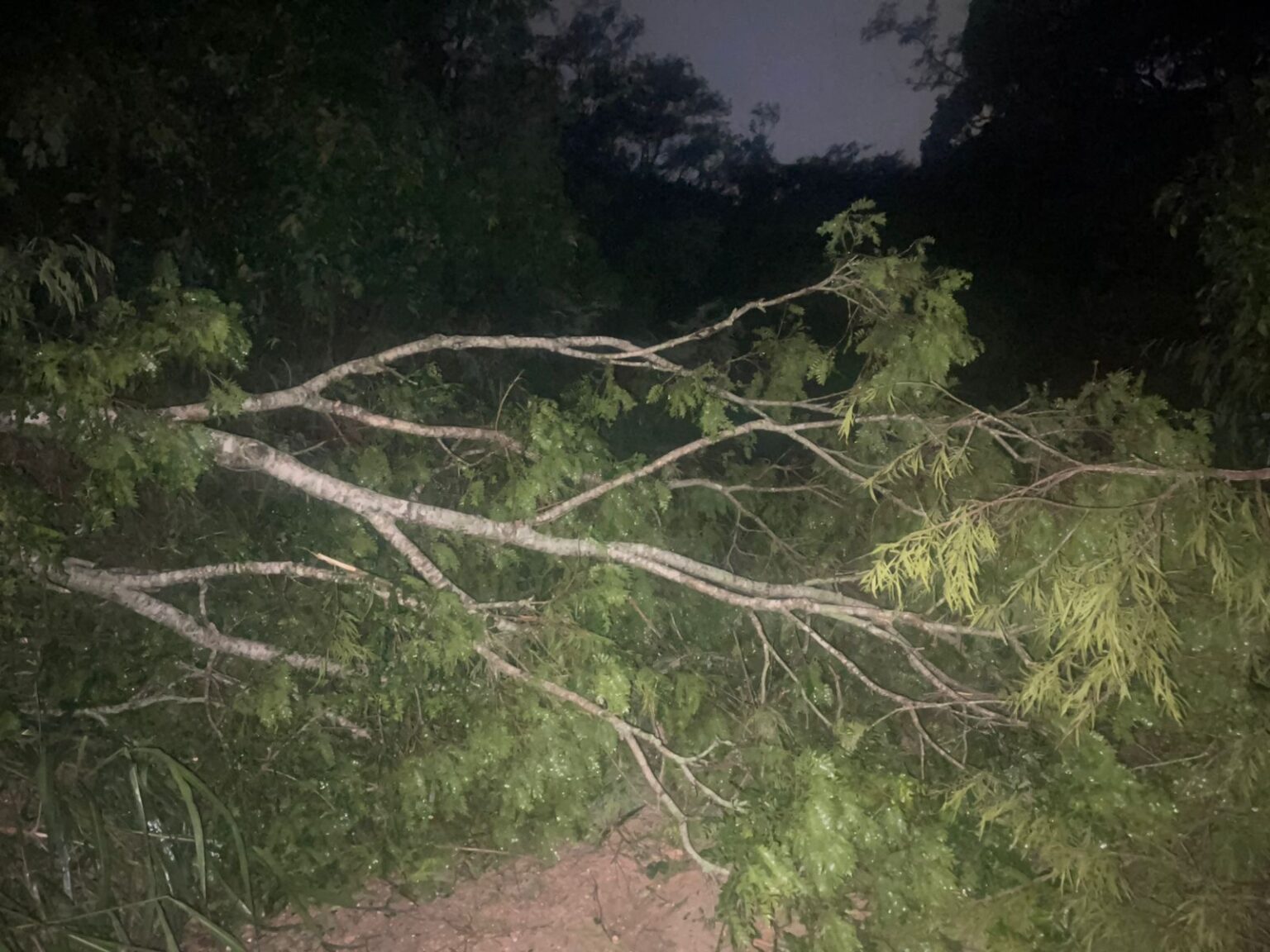 Temporal causa danos na Rampa de Parapente de Maricá