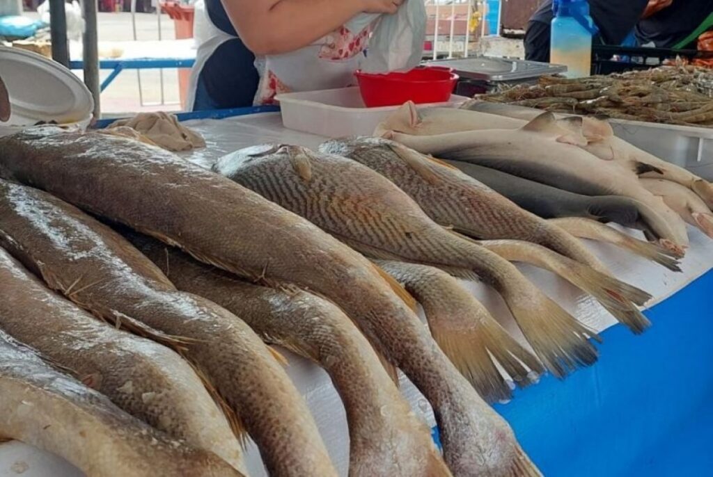 Vigilância Sanitária reforça cuidados com pescado na Semana Santa