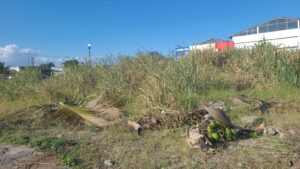 Moradores do Jardim Atlântico denunciam falta de limpeza no bairro