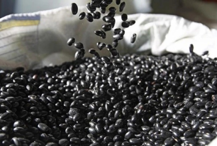 Preço do feijão dispara e acumula alta de até 48% em 2026, aponta Cepea