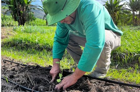 Agroecologia em Maricá: investimento fortalece produção local