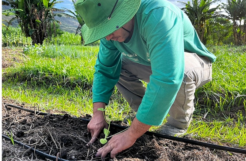 Agroecologia em Maricá: investimento fortalece produção local