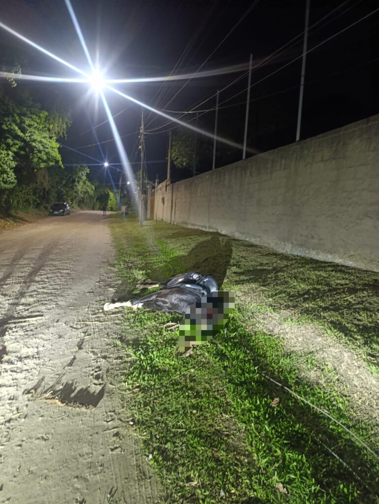 Homem fica ferido e cavalo m0rr# eletrocutado após contato com fio de alta tensão no Silvado