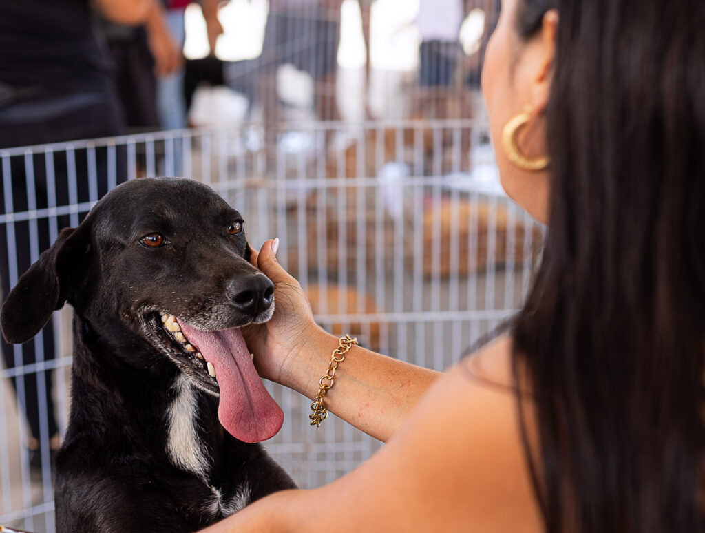 Maricá promove campanha com vacinação, castração e adoção de animais neste sábado 20