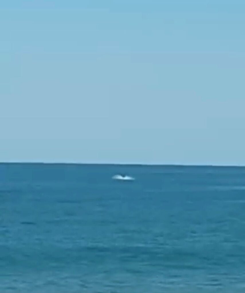 Baleia encanta moradores com aparição no mar de Itaipuaçu