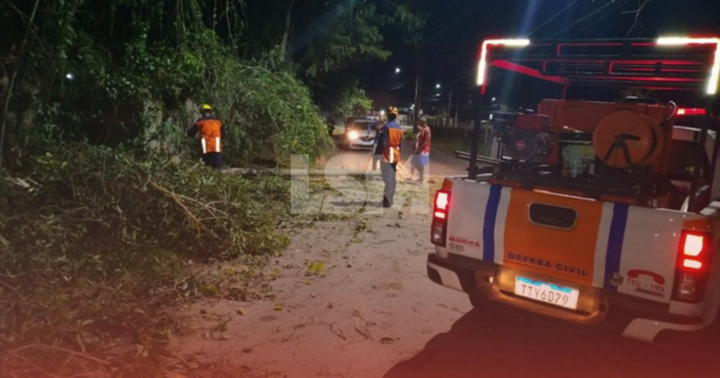 Trânsito é liberado na Estrada do Caxito após queda de árvore