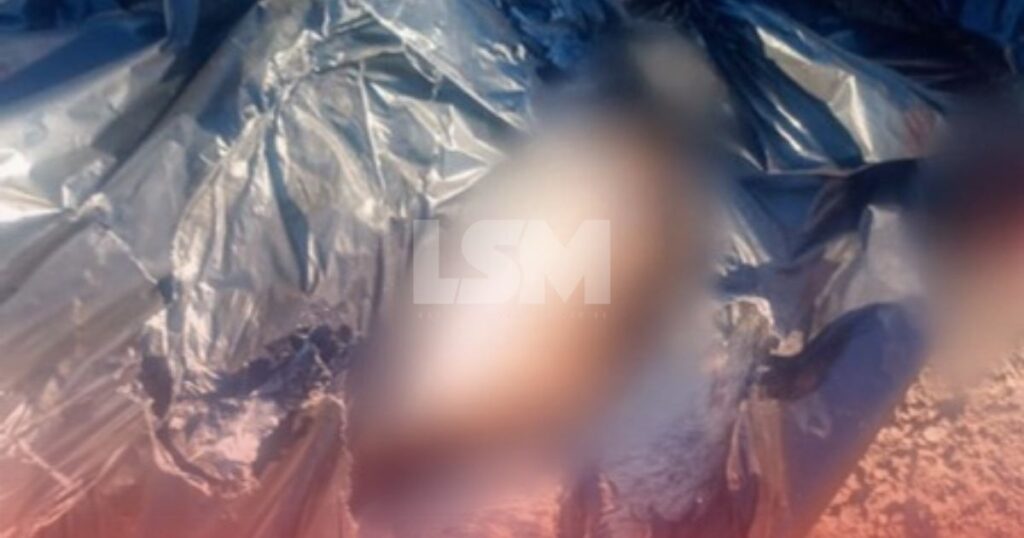 “Não eram cães”: Secretaria esclarece que sacos encontrados em Itaipuaçu continham restos de cabritos e galinhas