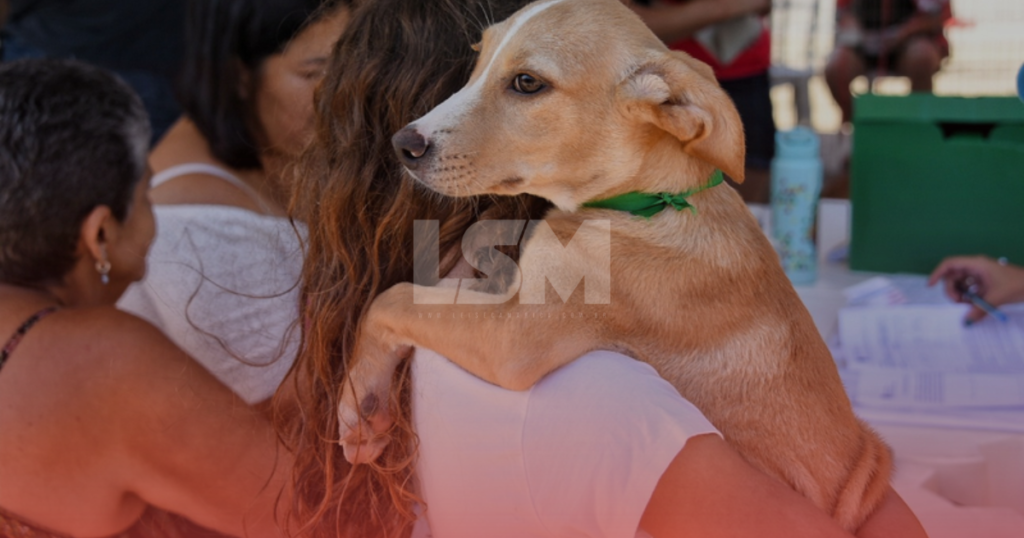 Maricá lança catálogo digital para adoção de cães e gatos