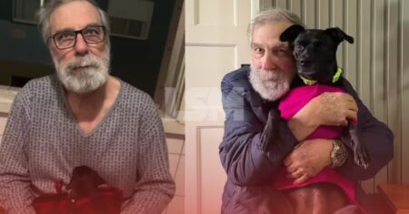 Idoso que não queria outro cachorro após perder companheiro se torna inseparável de Lady no Rio