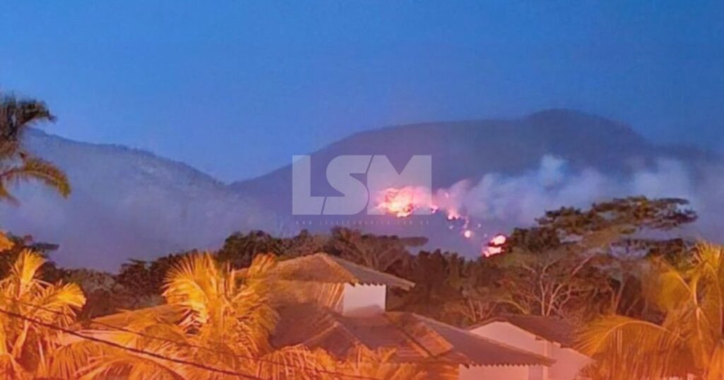 Incêndio florestal atinge mata da Serra da Tiririca, na divisa de Maricá e Niterói