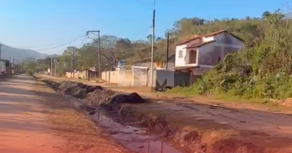 Após publicação do LSM, árvore caída desde vendaval é retirada em Chácaras de Inoã
