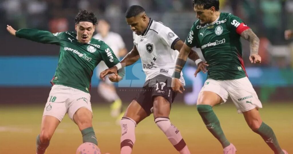 Botafogo busca reação contra o Palmeiras neste domingo no Nilton Santos
