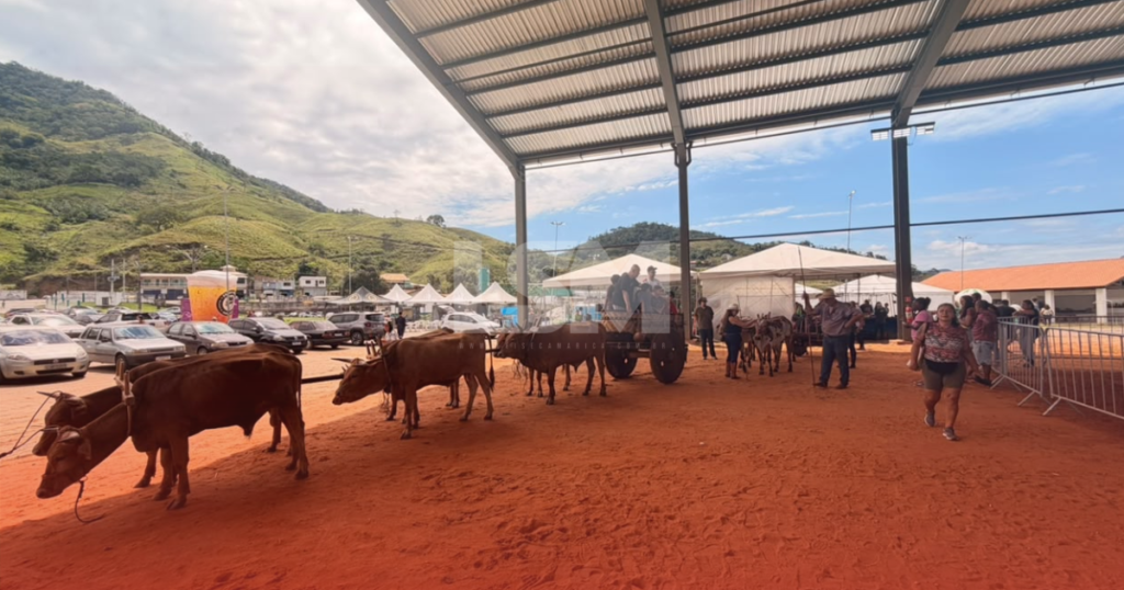 Saquarema encerrou no sábado a III Exposição Especializada Mangalarga Marchador, com finais de campeonato, desfile de carros de boi, Ranch Sorting e show