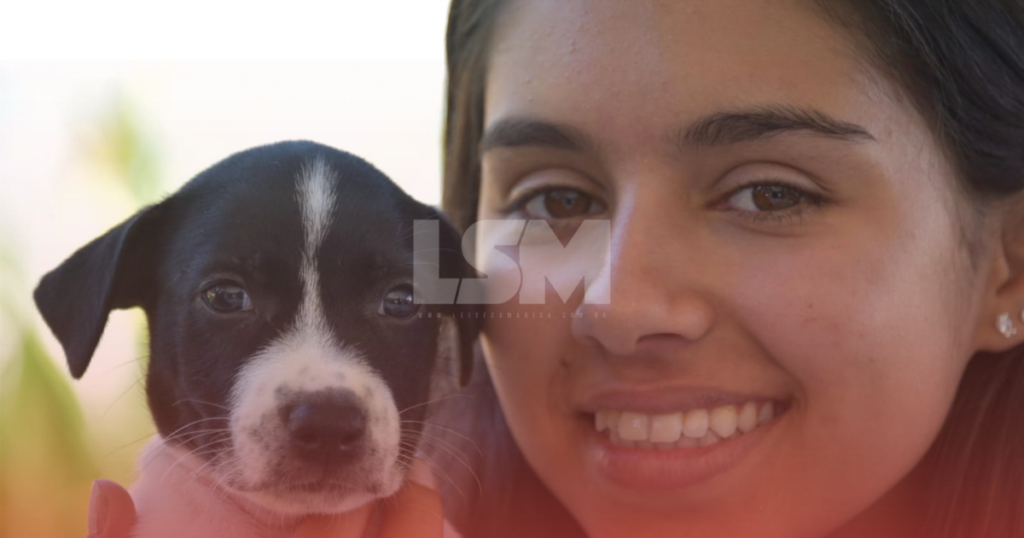 Campanha de adoção de cães e gatos acontece nesta quinta-feira no Centro de Maricá