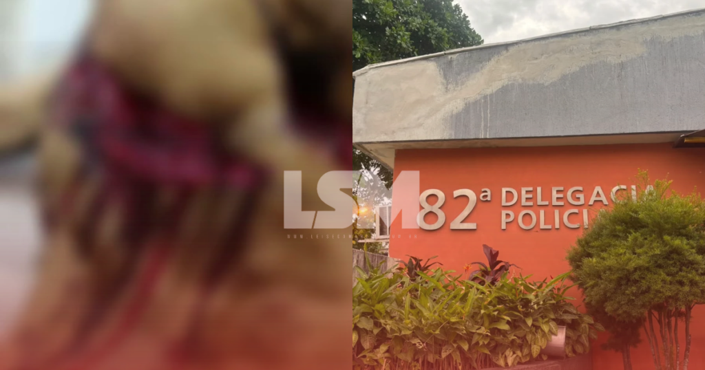 Homem envolvido em caso de cães feridos com facão afirma que tentou proteger seus cachorros