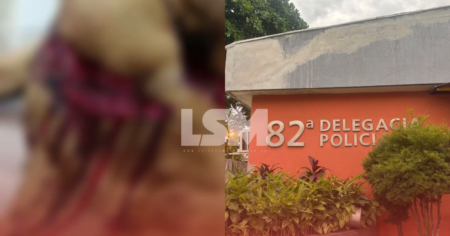 Homem envolvido em caso de cães feridos com facão afirma que tentou proteger seus cachorros